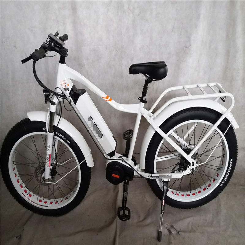 1000W バファングミッドドライブモーター合金 後部キャリア 標準付き中央電気自転車