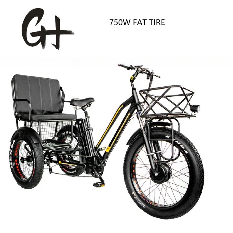 バファング 750W モーター電動三輪車 脂肪タイヤ E 三輪車と乗用席