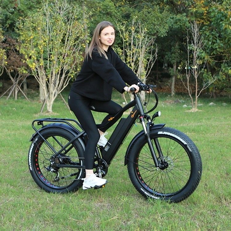 48V 1000W 17AH リチウム電池 OEM EN15194 CE オーダーメイド電気MTB マウンテンファットタイヤ自転車