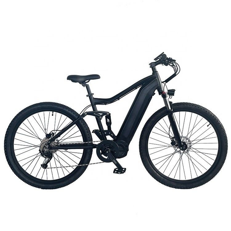 アメリカ 成人29インチ 電動マウンテンバイク 17Ah バッテリーと1000W バファングミドルモーター