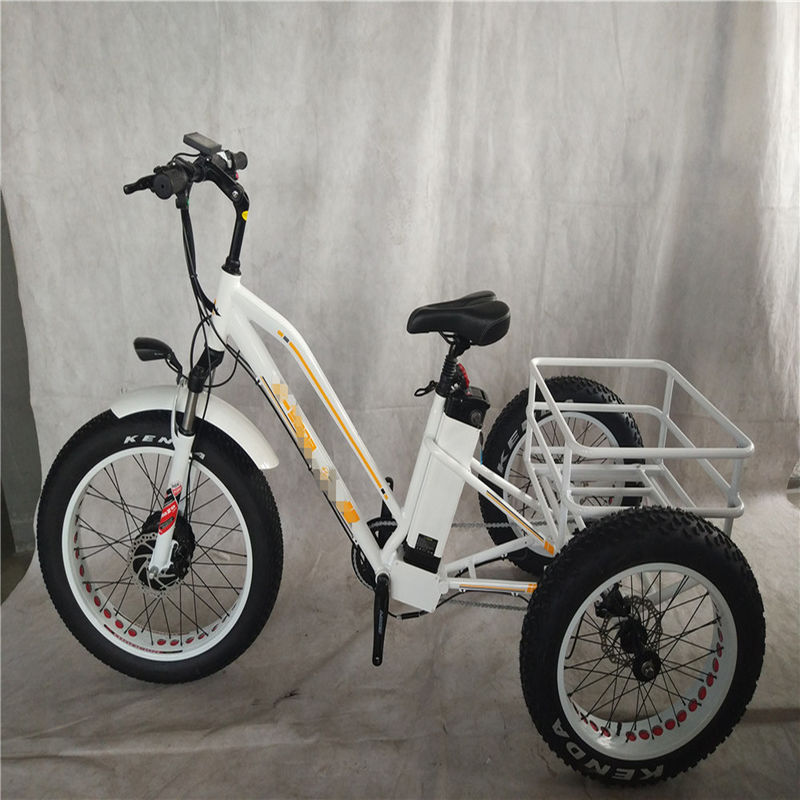 750W 電動自転車 3輪 大人の脂肪タイヤ E トライク 貨物 トーク 70-80 Nm ディスクブレーキ