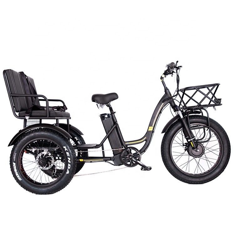 軽量 アルミフレーム 電動三輪車 48V 750W 21AH 50KM/H 成人の乗客用