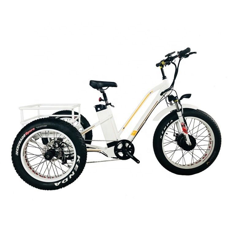 48V 14AH 後ろバスケット 4.0 スノータイヤ 電気貨物三輪車