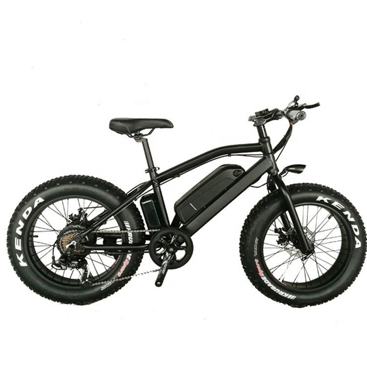 20インチ アルミ合金フレームボーイ ミニ 48V 4.0 USA CE 750W キッド マウンテン電動自転車