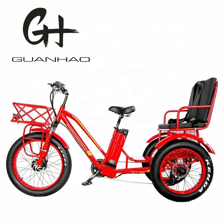 米国市場 BAFANG センサー 電動三輪車 三輪車と水力ディスクブレーキ