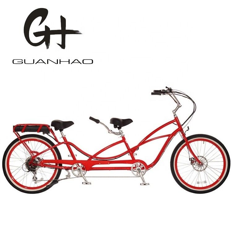 最大速度30〜50km/h 500W 26&quot;*2.3 LCDディスプレイ 2人用電動自転車