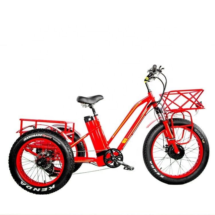 48V 750W フロントモーター 24&quot; アダルト電気三輪車 17AH リチウムバッテリーと脂肪雪タイヤ