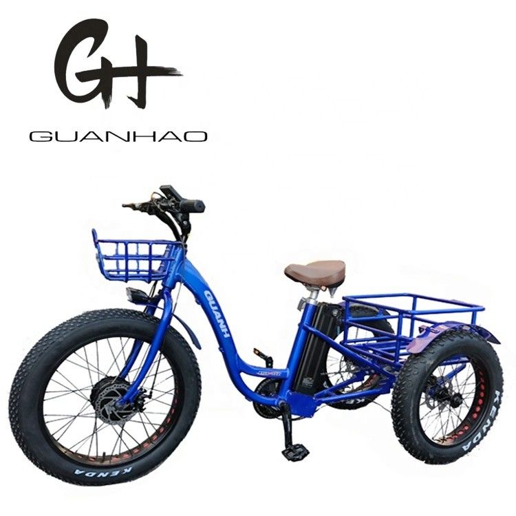 オープンボディタイプ 24インチ 20インチ BAFANG フロントモーター 大人のための電気三輪車 48V21AH 750W