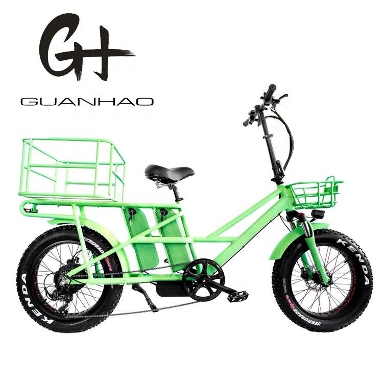 20インチ サスペンション CE OEM 48V 34AH 1000W 8FUN モーター 中国製 ダブルバッテリー電気バイク