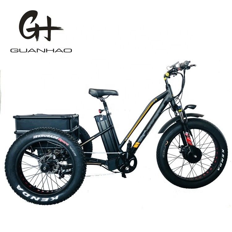 750W フロントモーター4.0 タイヤ スノー EN15194 貨物 電動貨物 三輪車 ディスクブレーキ付き